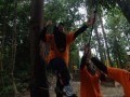 Tn DSC 6211
